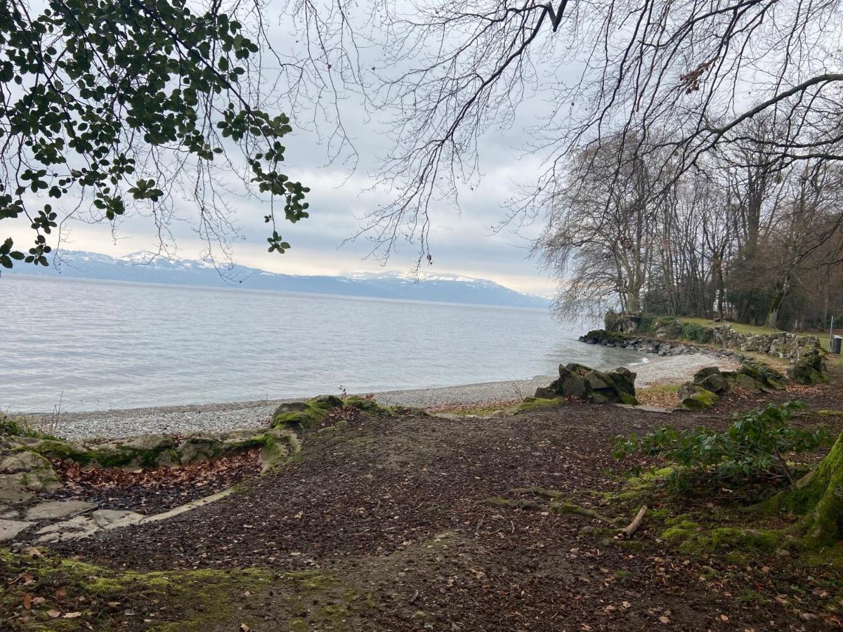 Bord De Lac,2 Chambres Superbe Vue Lac 5Mn Evian Лугрин Экстерьер фото