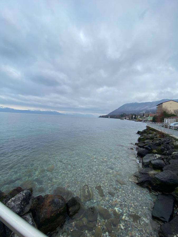 Bord De Lac,2 Chambres Superbe Vue Lac 5Mn Evian Лугрин Экстерьер фото