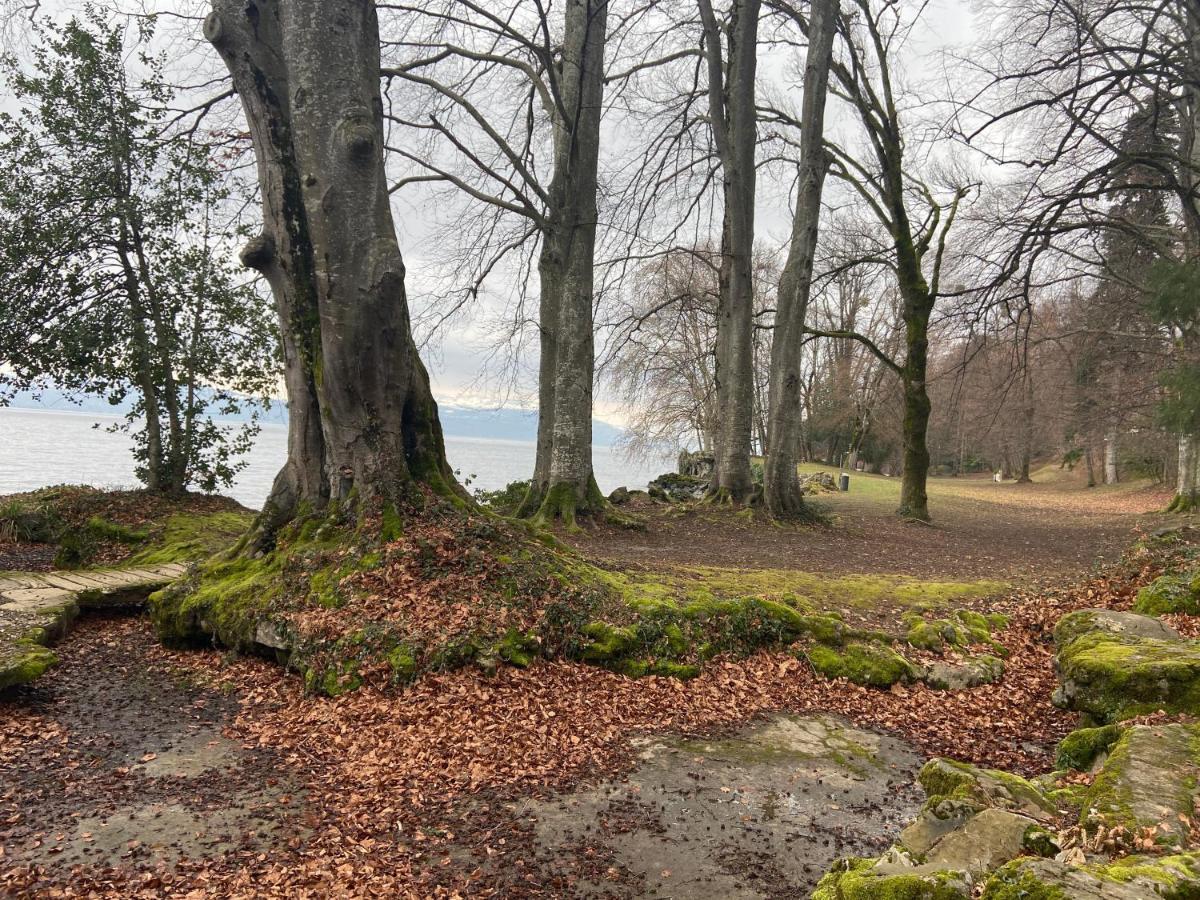Bord De Lac,2 Chambres Superbe Vue Lac 5Mn Evian Лугрин Экстерьер фото
