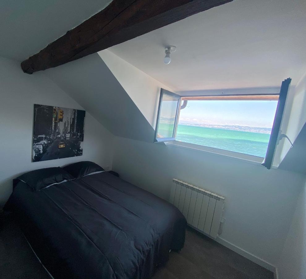 Bord De Lac,2 Chambres Superbe Vue Lac 5Mn Evian Лугрин Экстерьер фото